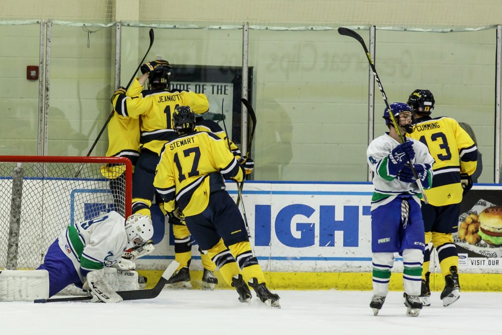 team celebrates after a goal